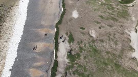 Vistors to Birling Gap, UK  walk close to the edge of the crumbling cliffs