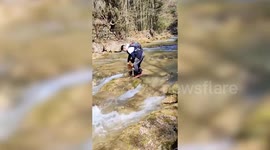 Passerby rescues newborn calf stranded in rushing stream