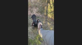 Photographer gets ambushed by an angry bird—literally!