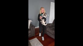 New Dog Joins the Family