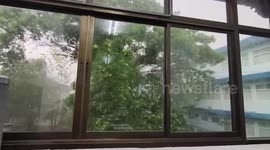 Tropical storm strikes Thailand uprooting trees and triggering powerful gales