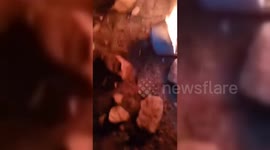 Yemen: Houthi Missile Crashes On Launch
