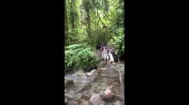 Hikers slip while crossing stream in Indonesia