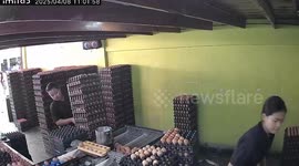 Hapless worker drops crates of eggs while loading onto truck