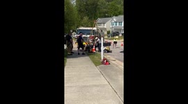 Dagger the Dog Rescued from Storm Drain by Raleigh, NC Heroes
