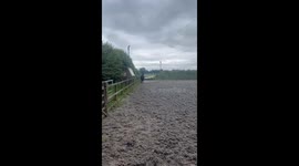 Horse misjudges jump and sends rider to the ground during riding lesson