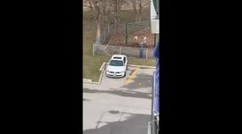 Man puts puppies in swings, gets yelled at but delivers perfect comeback