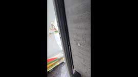 Rower stranded at sea for three days is rescued in Australia