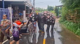 Pet elephant joins in Songkran celebrations in Thailand