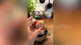 Crafter turns eggs into tiny works of art