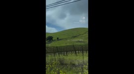 Sonoma County California