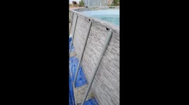 Drowning Squirrel Clings To Pool Noodle