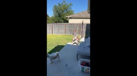 Small eye holes cause toddler to trip while chasing dogs in Halloween costume