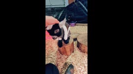 Baby Ryder loves his jammies!