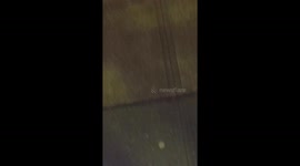 zombie like creature missing half he's face decaying jaw line gone