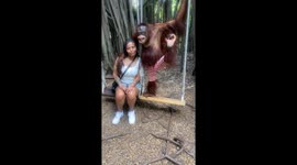 I went on a day trip from Singapore to Thailand to visit their famous orangutan famous orangutan