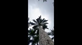 I visited the elephant park in Bali Indonesia , and Rode the elephants