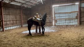 First wild ride turns chaotic as horse throws rider against the wall