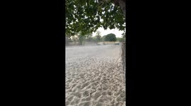 Rider unexpectedly flies over fencing after horse abruptly stops during ride