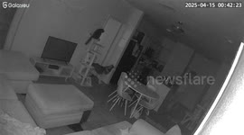 Woman's cat and dog watch 'ghostly' figure walk through living room in spooky footage