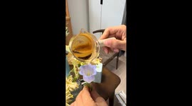 Fancy coffee served in a flower ends in disaster as it spills everywhere