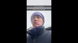 Horse reacts like he got sniped after a simple nose boop—6 million views and counting