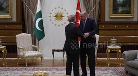Türkiye: Turkish President Erdogan meets Pakistani Prime Minister Sharif in Ankara