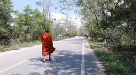 Kind Buddhist monk rescues lost owl on road in Thailand