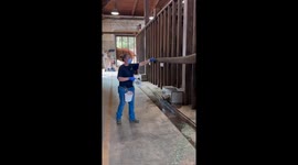 Elephant receives tuberculosis test in North Carolina