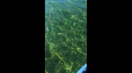 'Get a Load of the Conditions' - Aussie man's squid-fishing venture takes a rowdy turn