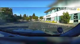 Egged On, But Caught Cold: Easter Heist Foiled in Scotts Valley, California