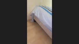 Terrified boy screams as spider moves quickly across the bed