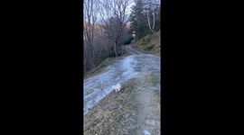 Frozen Trail Takes Dog For Slide