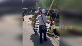 Firemen rescue pet dog stuck in storm drain in North Carolina
