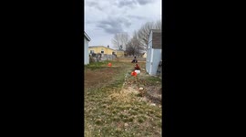 Girl Crashes Mini Bike Into Fence