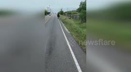 US: Deputy Wrangles Loose Herd Of Goats On Southton Road