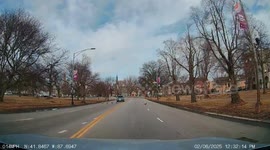 Family of Geese Cross Very Slowly the Street