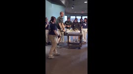So cute! Meet the Newest Galapagos Tortoises at Philadelphia Zoo