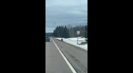 Emu Spotted Running Along Michigan Highway