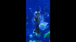 Fat mermaid performance at Jinan Sunac Ocean Park