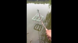 Person catches multiple fish with peg hook hanger in Jiangsu, China