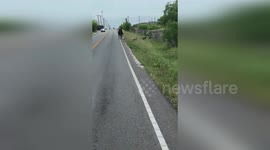 Deputy turns cowboy as he wrangles herd of escaped goats