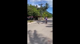 Giant king cobra caught in southern Thailand