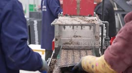 China: Custom solutions, advanced tech drive agricultural machinery exports from China's Zhejiang