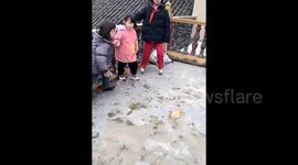 Duck joins in game of Red Light, Green Light from 'Squid Game' and follows rules perfectly