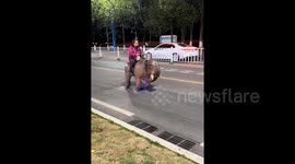 Shocked onlookers watch on as woman rides giant elephant toy through city streets