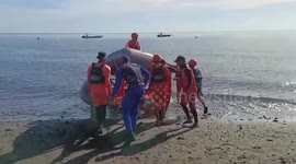 Search continues for Russian businessman who mysteriously disappeared in Bali