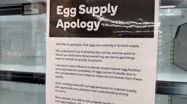 Egg supply shortage in Sydney, Australia blamed on last year’s avian influenza outbreak