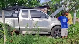 Massive python caught in pickup truck engine in Thailand