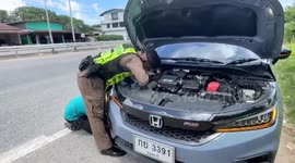 Three stranded kittens stuck in car engine rescued by mechanics